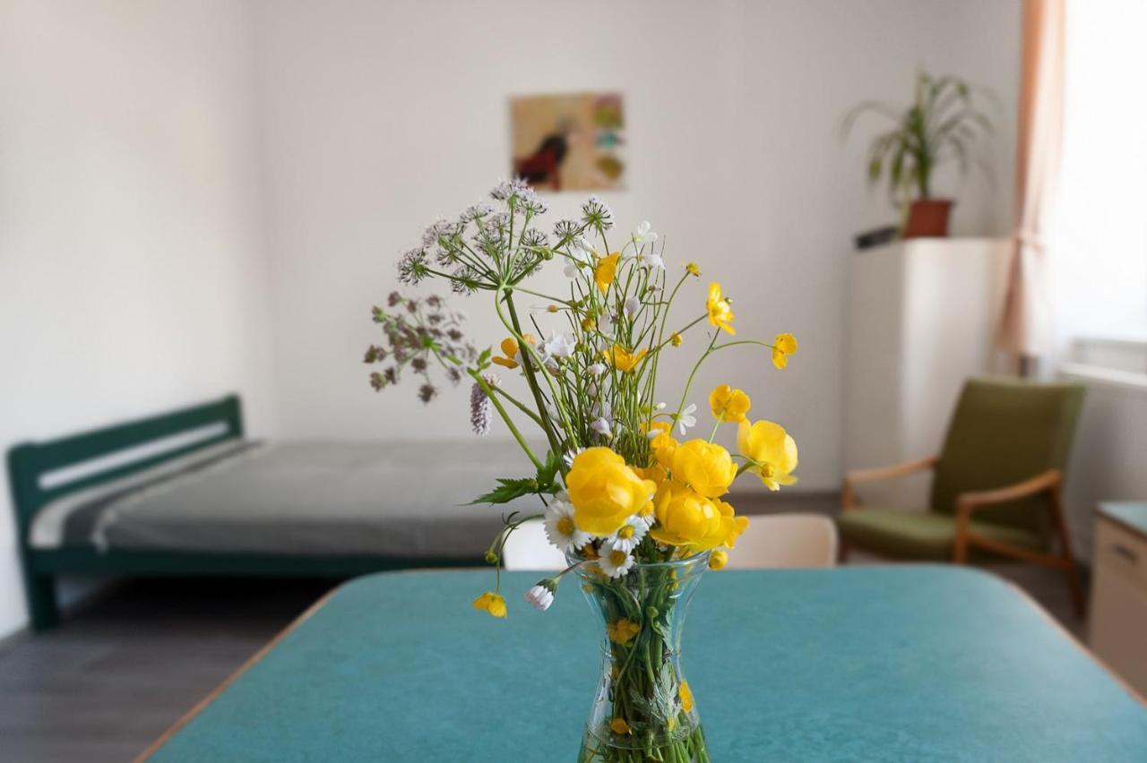 Apartmany16 Olesnice V Orlickych Horach 외부 사진